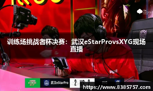 训练场挑战者杯决赛：武汉eStarProvsXYG现场直播