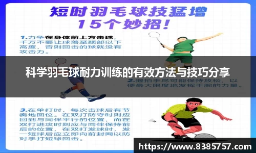 yy易游体育